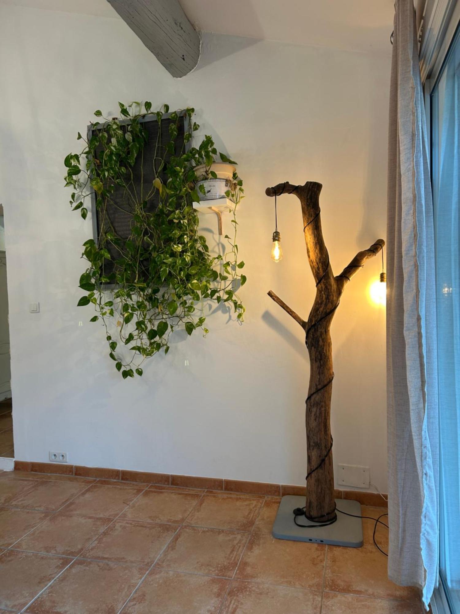 Le Mazet Des Joncs En Provence Villa Saint-Pierre-de-Vassols Bagian luar foto