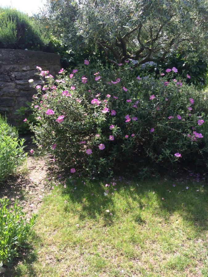 Le Mazet Des Joncs En Provence Villa Saint-Pierre-de-Vassols Bagian luar foto