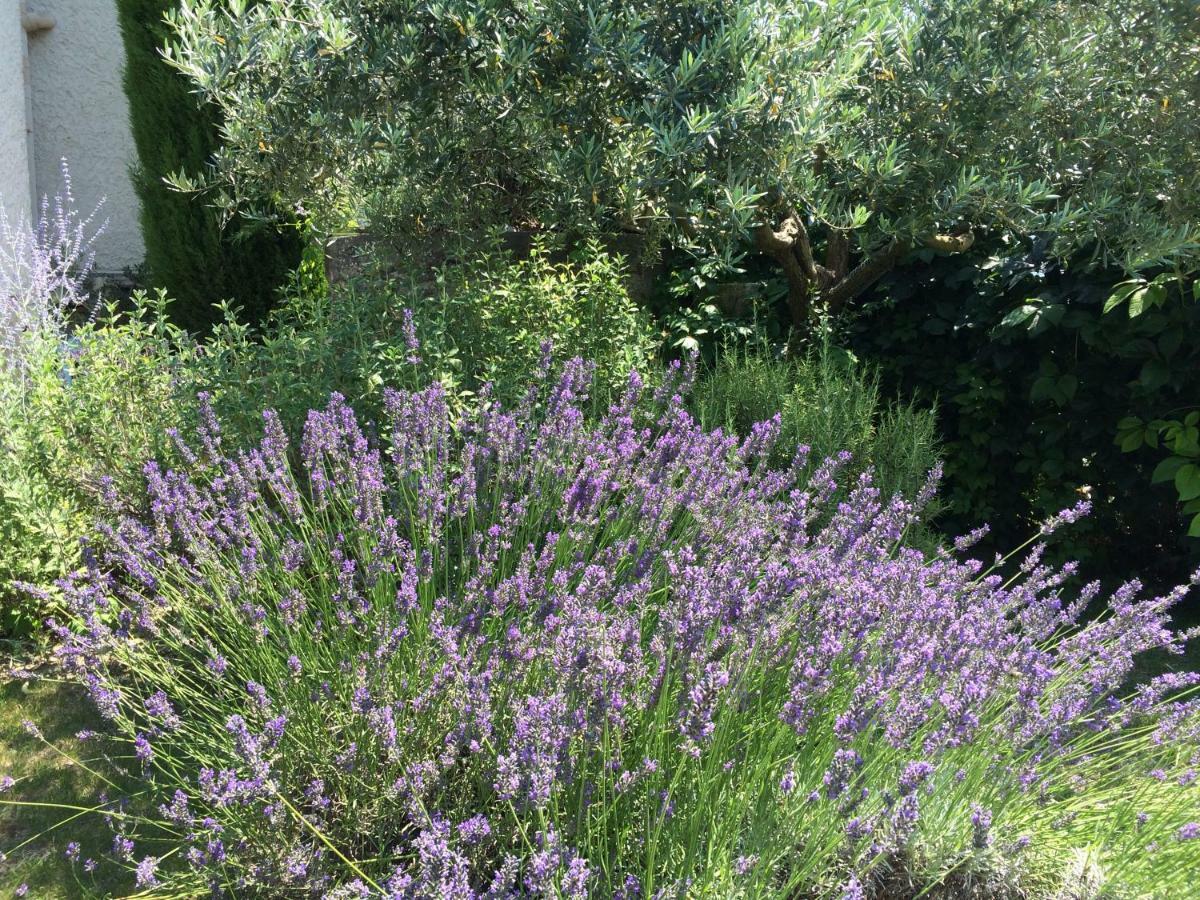 Le Mazet Des Joncs En Provence Villa Saint-Pierre-de-Vassols Bagian luar foto